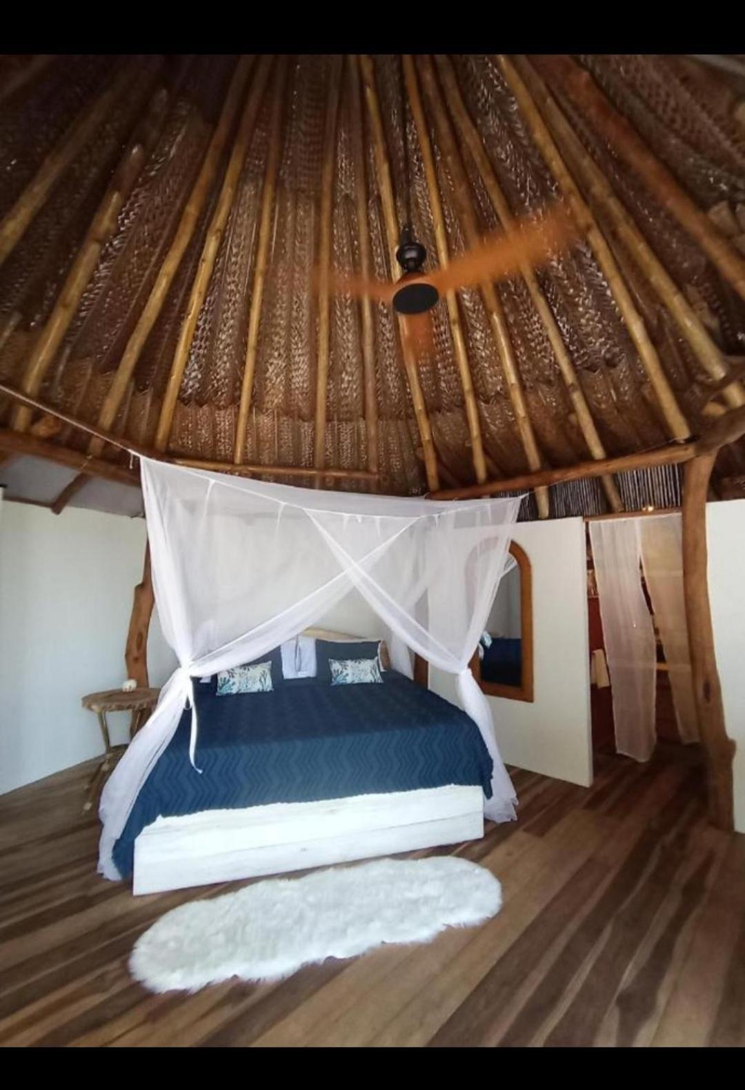 Nueva Onda Bed & Breakfast Palomino Ngoại thất bức ảnh
