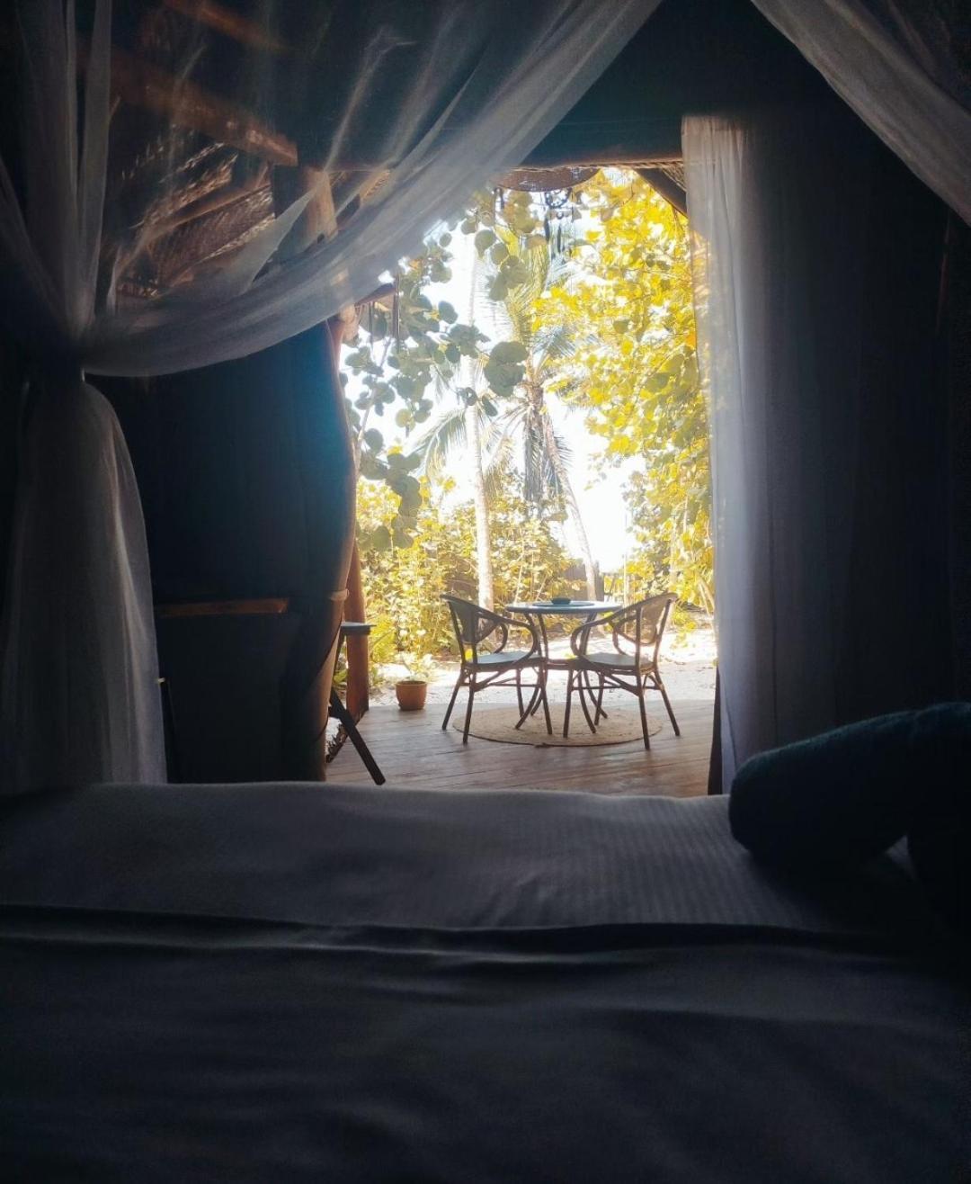 Nueva Onda Bed & Breakfast Palomino Ngoại thất bức ảnh