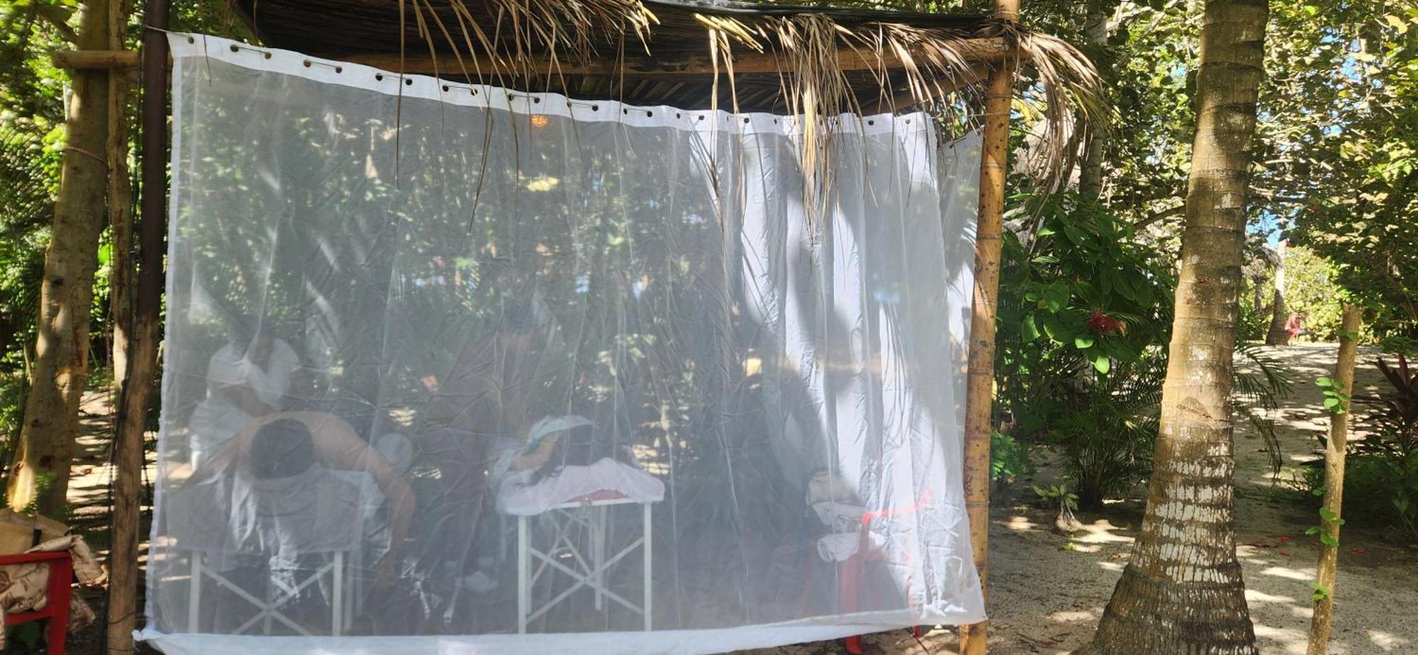 Nueva Onda Bed & Breakfast Palomino Ngoại thất bức ảnh