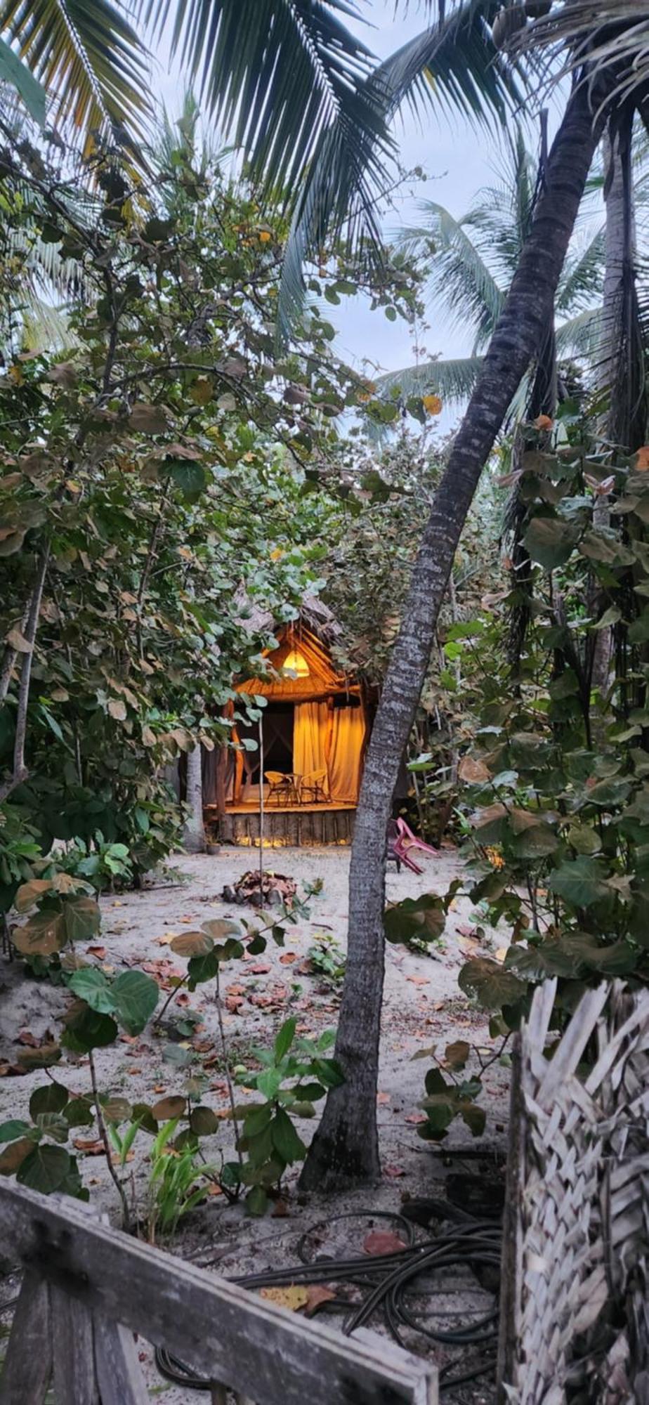 Nueva Onda Bed & Breakfast Palomino Ngoại thất bức ảnh