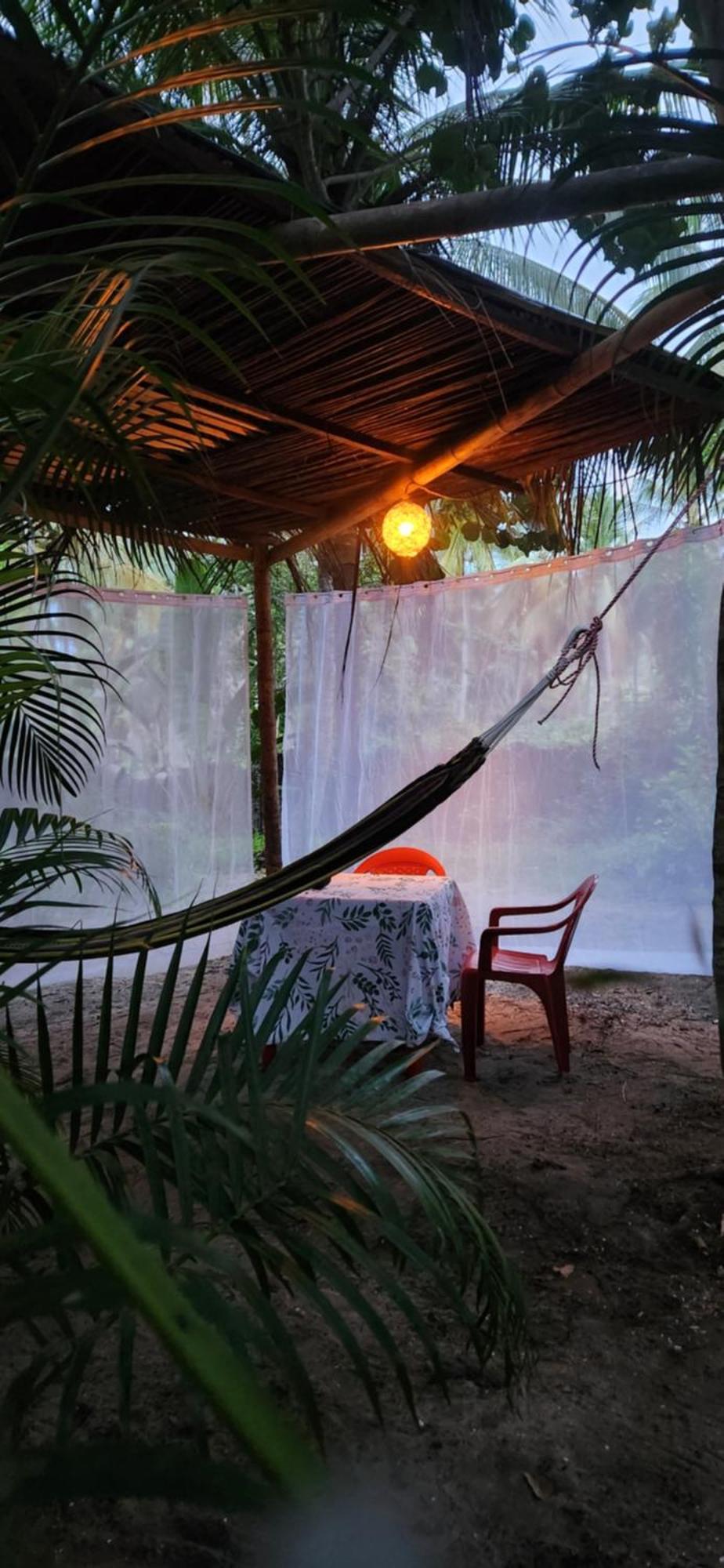 Nueva Onda Bed & Breakfast Palomino Ngoại thất bức ảnh