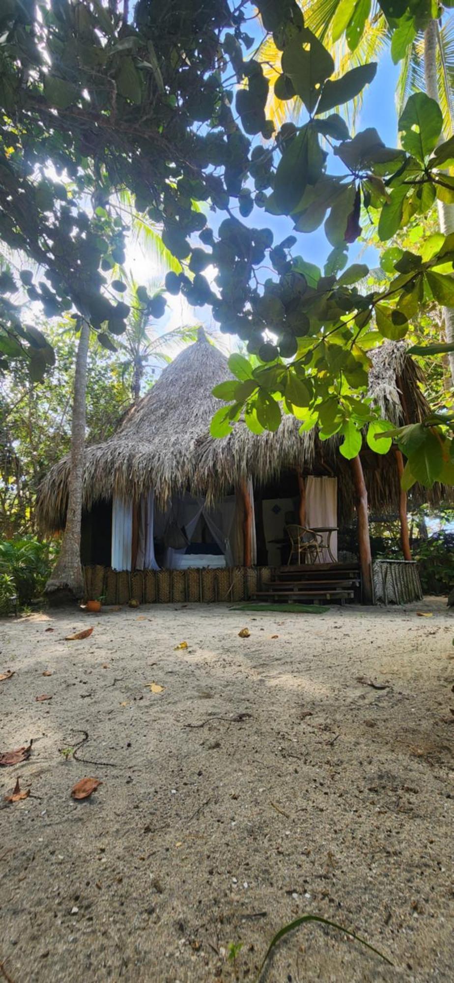Nueva Onda Bed & Breakfast Palomino Ngoại thất bức ảnh